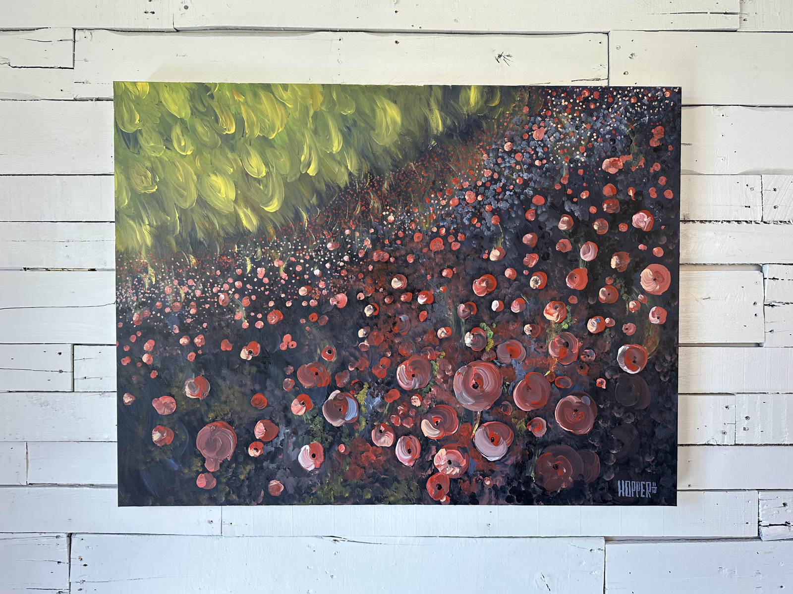 French Poppies No. 1, photographed in place